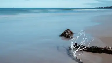 Mi Wallpaper Carousel скриншот 1