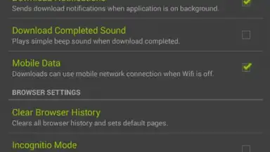 IDM скриншот 1