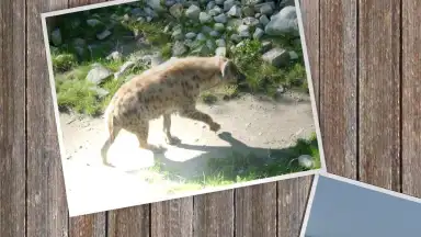 SlideShow5000 FREE скриншот 2