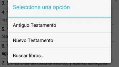 La Santa Biblia скриншот 3