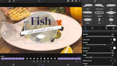LumaFusion: Education Edition скриншот 5