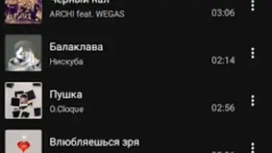 BiRD - Музыка из ВК скриншот 3