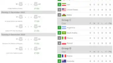 Live Scores for World Cup 2022 скриншот 2