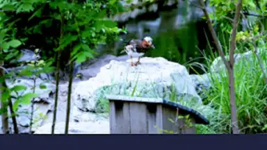 Smart Gallery - Photo Manager скриншот 5