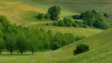 Yandex Launcher скриншот 1