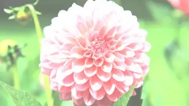 After Effect скриншот 9