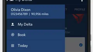 Fly Delta скриншот 8