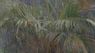 Relax Rain скриншот 5