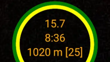 Yo-Yo Test скриншот 5