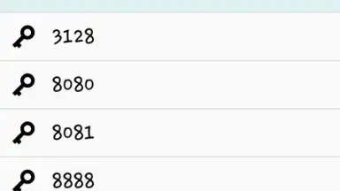 FLS Tunnel скриншот 3