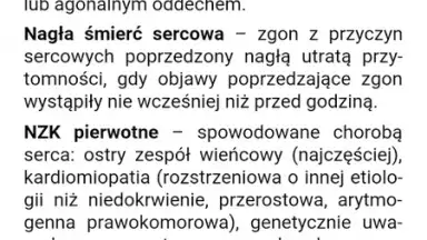 eMPendium скриншот 11