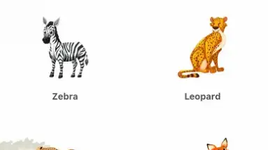 My Zoo скриншот 4