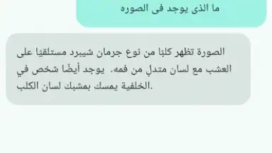 Chat Mate скриншот 7