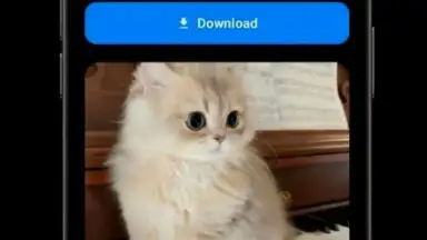 Media Saver скриншот 4
