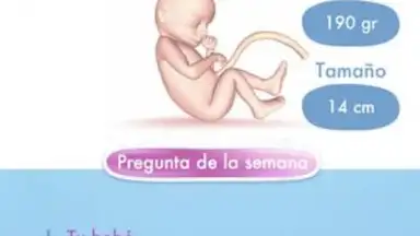 Mi Embarazo скриншот 4