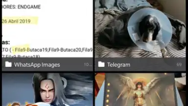 Vertical Gallery скриншот 1