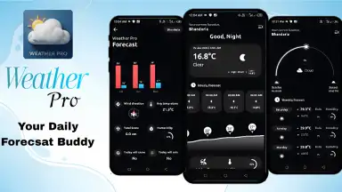 Weather Pro скриншот 1
