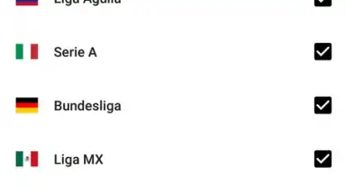 Forza Football скриншот 3