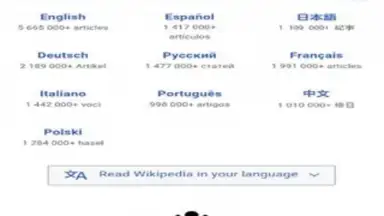 4K Browser скриншот 3