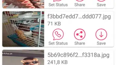 Status Saver скриншот 2