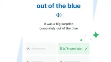 Reverso Translation Dictionary скриншот 25