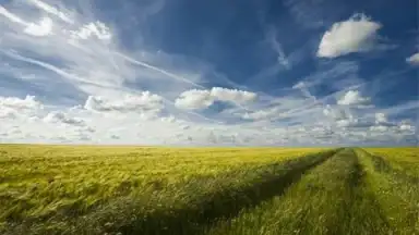 Samsung Photo Editor скриншот 4