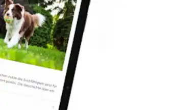 RP ONLINE скриншот 6