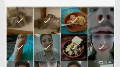 Tidy скриншот 3