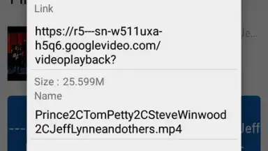 GDM - YouTube Video Downloader скриншот 13