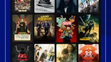 Disney+ Hotstar (Android TV) скриншот 3