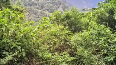 UpScrolled скриншот 5