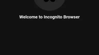 Private Browser скриншот 14