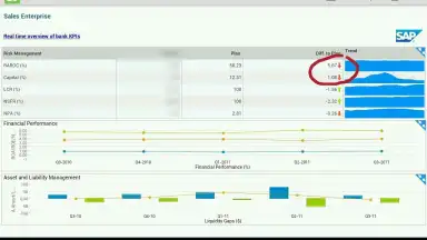 SAP BI скриншот 2