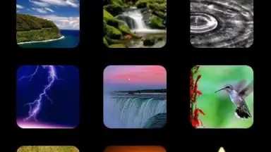 Звуки природы скриншот 3