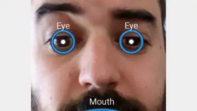 FaceSwap скриншот 4