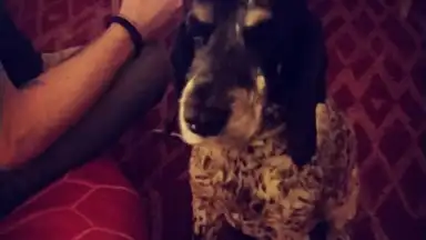 V Camera скриншот 6