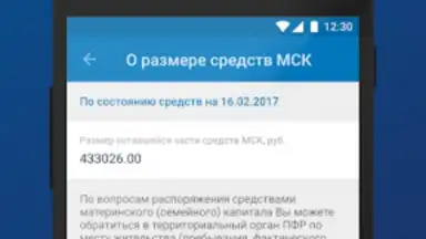 ПФР Электронные сервисы скриншот 1