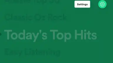 Spotify Stations скриншот 14