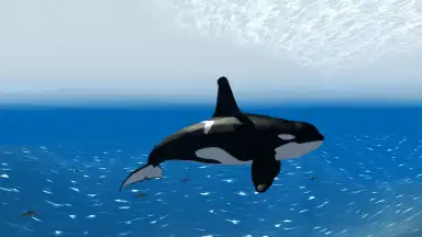 Orca Simulator скриншот 1