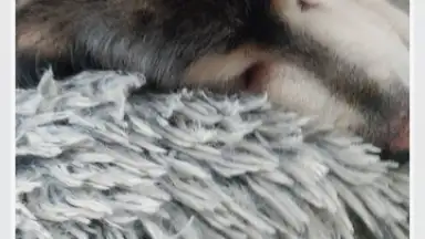 BeautyCam скриншот 12