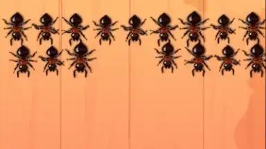 Ant Smash Game скриншот 5