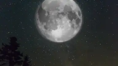 Cute Weather скриншот 3