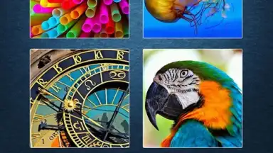 Jigty Jigsaw Puzzles скриншот 4
