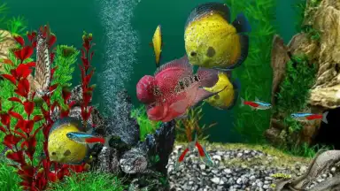 AquaLife 3D скриншот 1