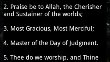 Holy Quran video and MP3 скриншот 1