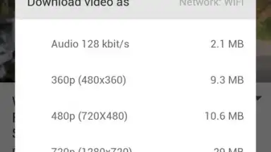 AyaTube Video Downloader скриншот 4