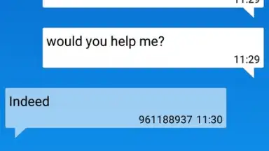 TeamViewer QuickSupport скриншот 2