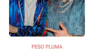 Musify скриншот 4