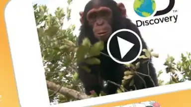 Budge World скриншот 6