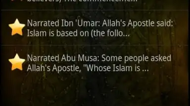 Sahih Al Bukhari скриншот 7